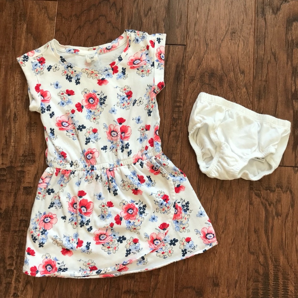 GAP Red, White and Blue Floral Dress